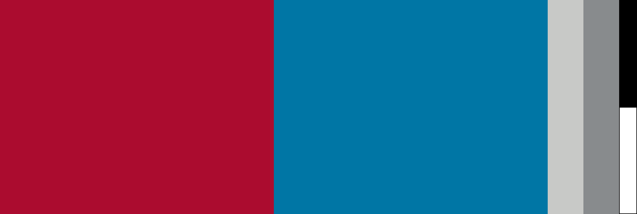 Visualization of color usage ratios