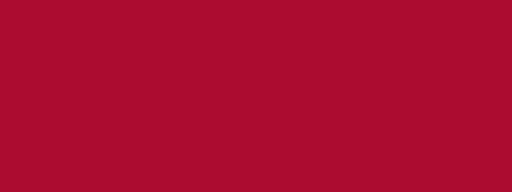 LMU Crimson Swatch